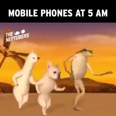 The sound of hell, alarm, memes, funny, funny video memes.