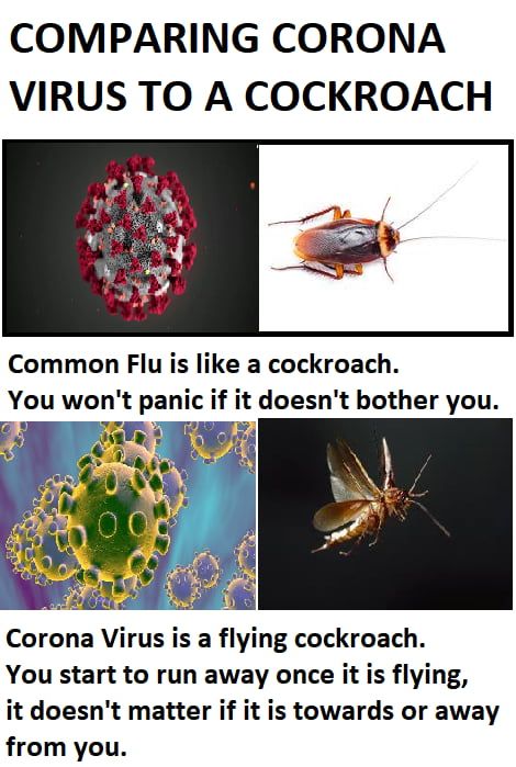Compare Coronavirus With Seasonal Flu Lol Funny Pictures Memes
