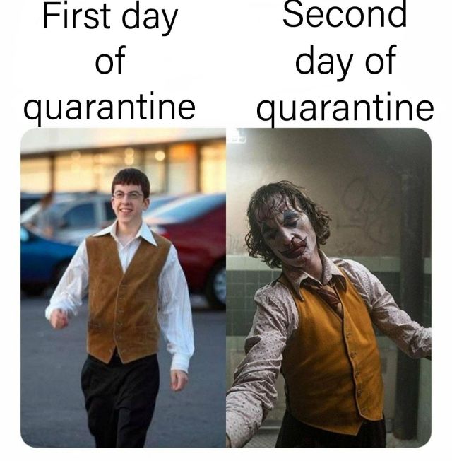 Days Of Quarantine Funny Pictures Memes Funvizeo Com