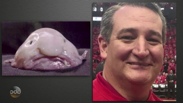Dear Jimmy Kimmel, we have are own politician blobfish memes