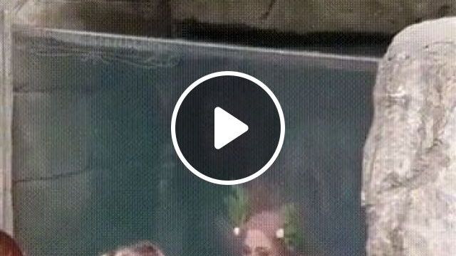 Real Life Mermaid - Video & GIFs | funny, mermaid