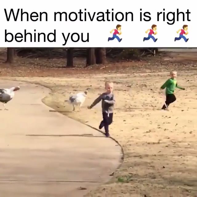When motivation is right behind you, funny, kid, run.