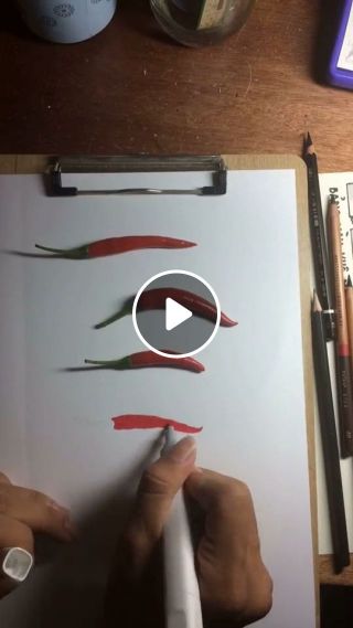 Chili pepper drawing