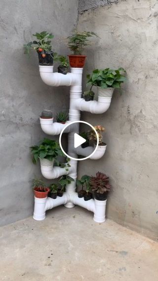 Corner stand for plants