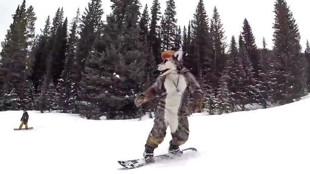 Werewolves, snow, funny, ski, wolf.