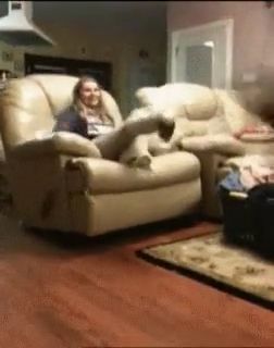 Funny Dog GIFs - And His Name Is John Cena. Funny Dog Gifs. Funny Pet Gifs. John Cena. Jump. Sofa.