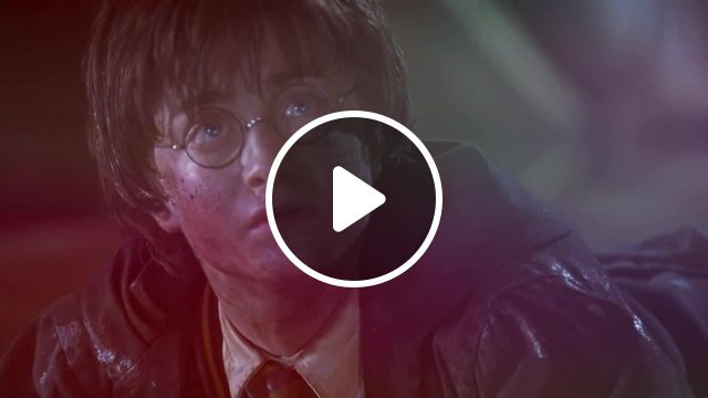 Harry in wonderland x meme, smerz have fun meme, harry potter and the chamber of secrets meme, гарри поттер и тайная комната meme, cool world meme, mashup. #0