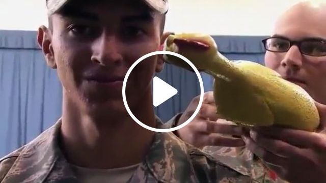 Test In The Military - Video & GIFs | rubber chicken toy, funny, military